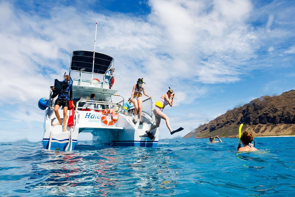 Wild Side Hawaiian Wildlife Safari — Small-Group Ocean Adventure