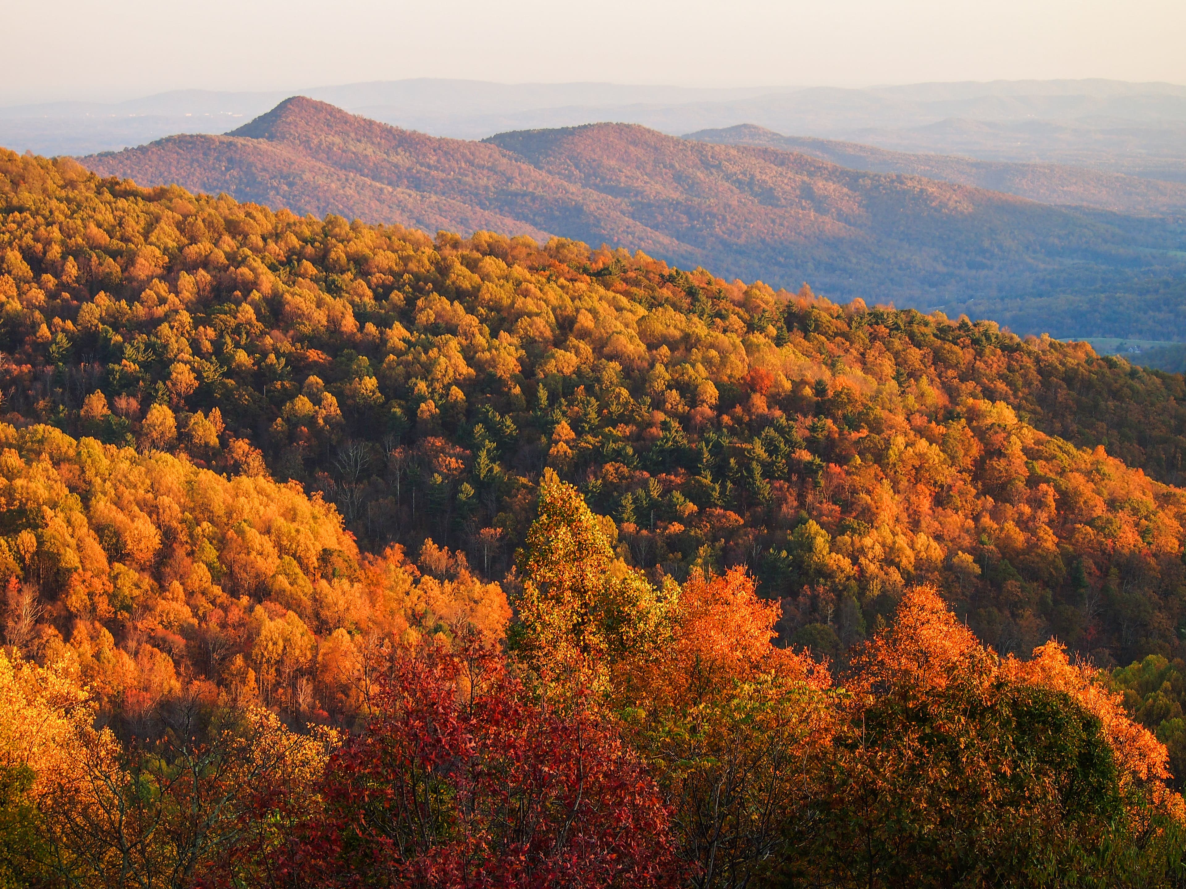 Autumn in Middleburg: Horses, Vines, & Luxury - Includes Roundtrip Airfare for Two (First Chance to Win)